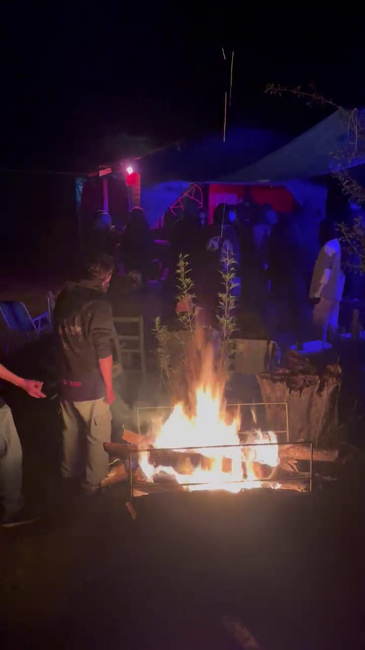Ancestral Culture Live — luzes e noite